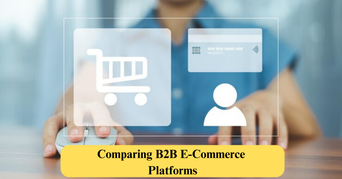 Comparing B2B E-Commerce Platforms
